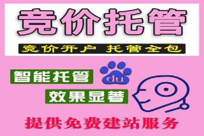 成功案例：SEM推广助力企业拓展海外市场